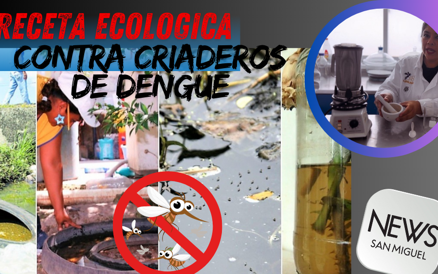 ¡Elimina criaderos de dengue con receta ecológica!