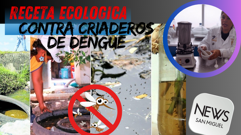 ¡Elimina criaderos de dengue con receta ecológica!