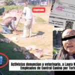 Con apoyo de la Gobernadora Libia Dennise, activistas denuncian brutalidad en Control Canino de San Miguel de Allende