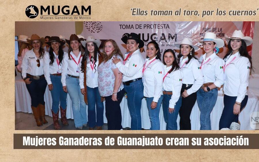 Mujeres ganaderas de Guanajuato ‘toman al toro por los cuernos’ y crean su propia Asociación