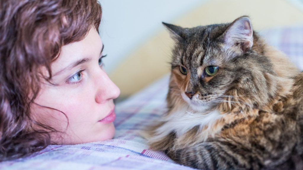 a los gatos les encanta que les hablen de esta manera tan precisa