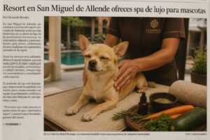 descubre cómo mi chihuahua disfrutó de un exclusivo tratamiento de spa en el resort de lujo más nuevo de san miguel de allende, una experiencia única de bienestar para tu mascota.