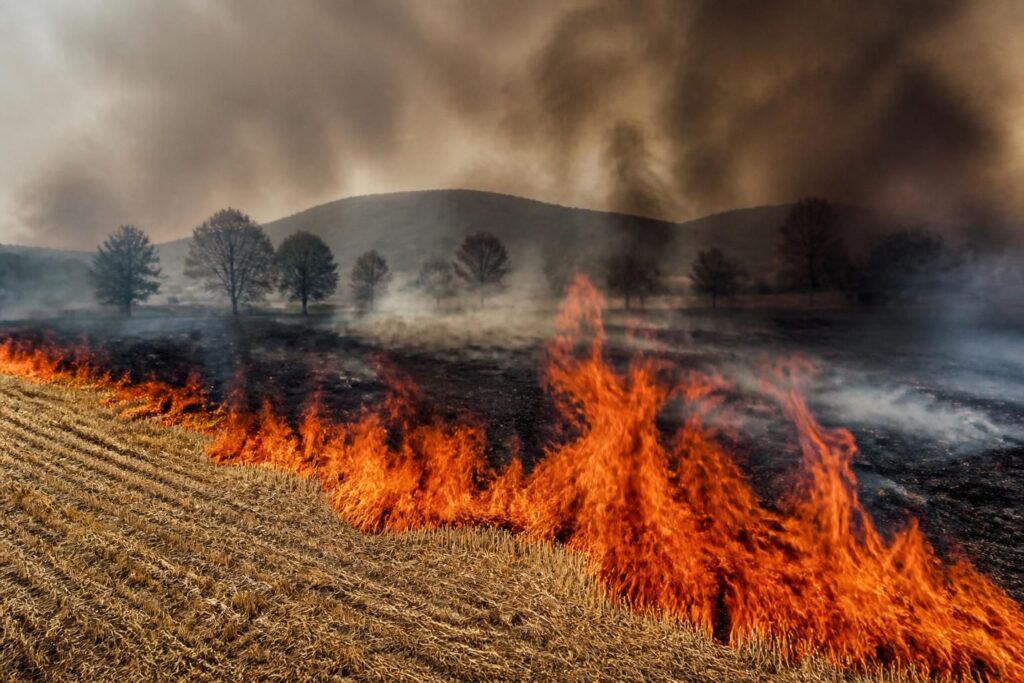 un incendio devastador arrasó un campo recién cosechado en salinas de pamplona, galar, causando grandes pérdidas agrícolas y movilizando a los servicios de emergencia.