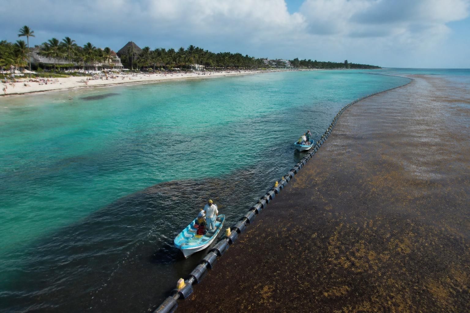 en playa del carmen, se instala una barrera de cinco kilómetros para controlar el sargazo y preservar la industria turística local.