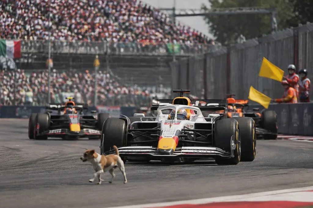 un perro irrumpió en la pista del gp de méxico: revive los momentos clave de la carrera y la actuación de hadjar en la fórmula 1.