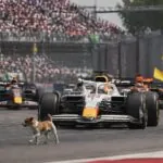 un perro irrumpió en la pista del gp de méxico: revive los momentos clave de la carrera y la actuación de hadjar en la fórmula 1.